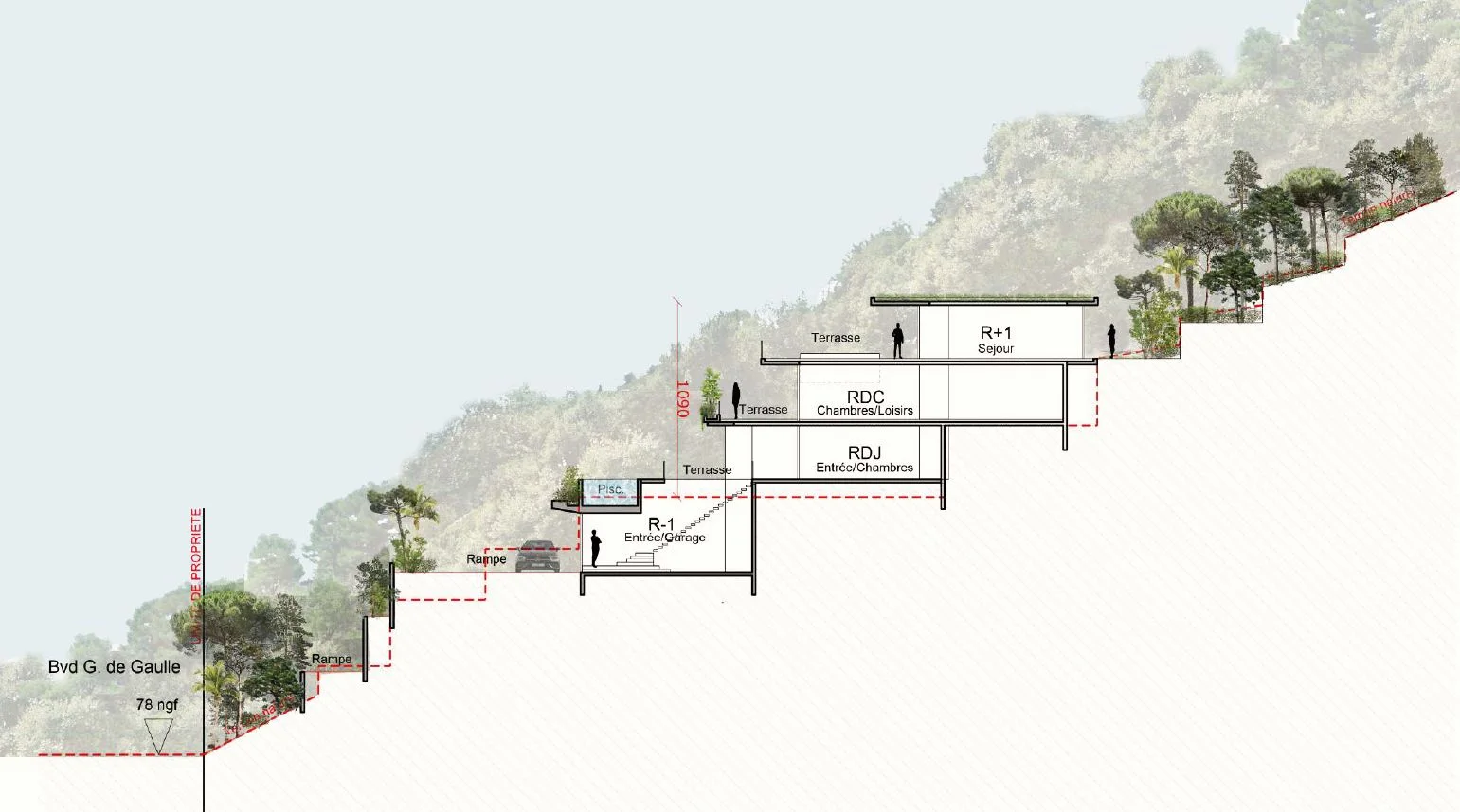 Schéma des niveaux du projet, R+1, RDC et rez-de-jardin